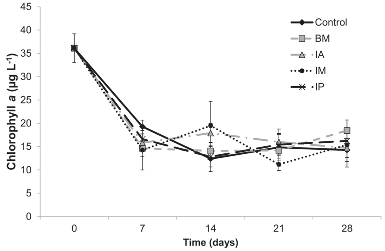 Change in chlorophyll a concentration over the course of the experiment in the control and macrophyte treatment groups.