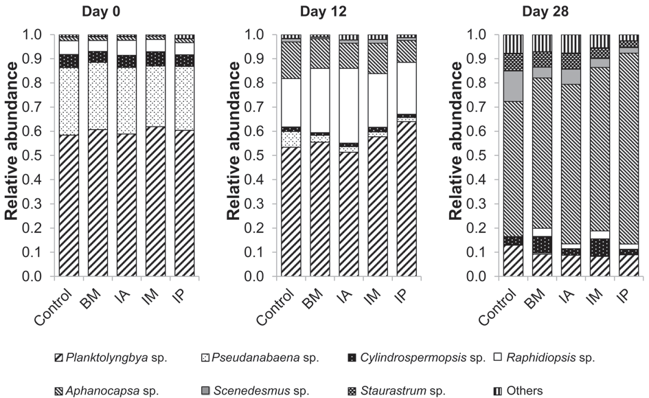 Relative abundance of phytoplankton genera in the control and macrophyte treatment groups.