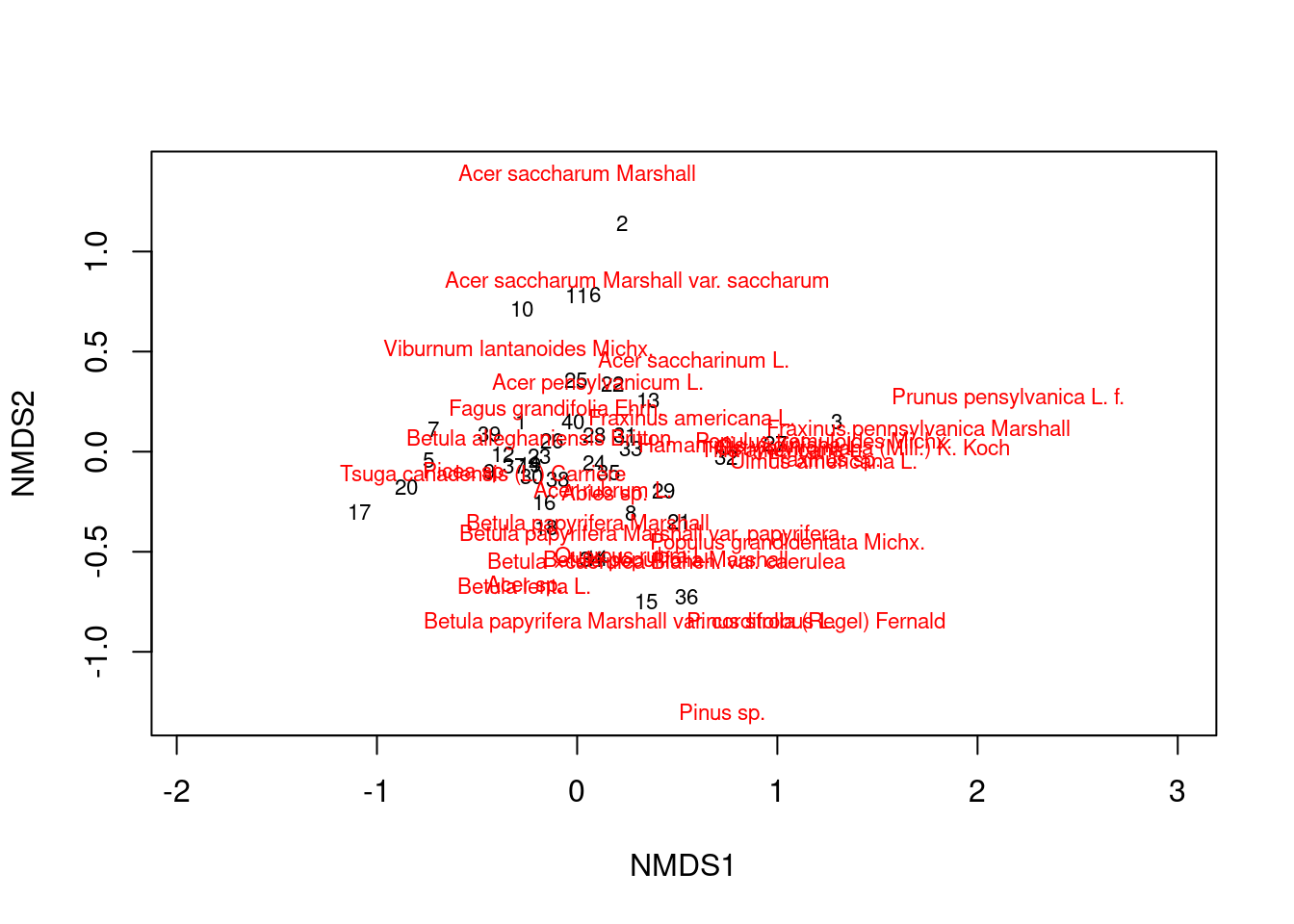 A basic NMDS plot.