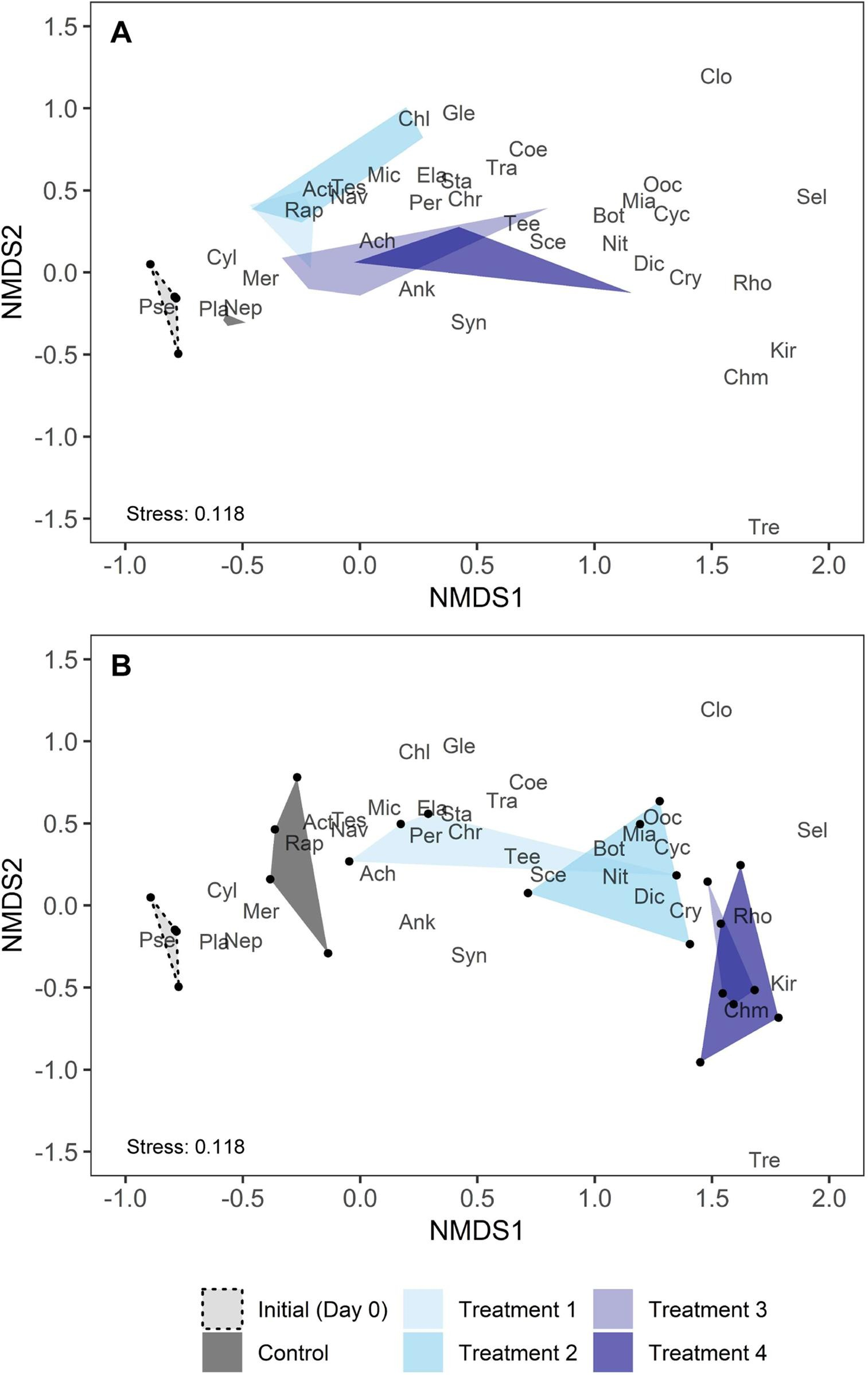 NMDS of the relative biovolumes of phytoplankton genera in the control and macrophyte treatments.